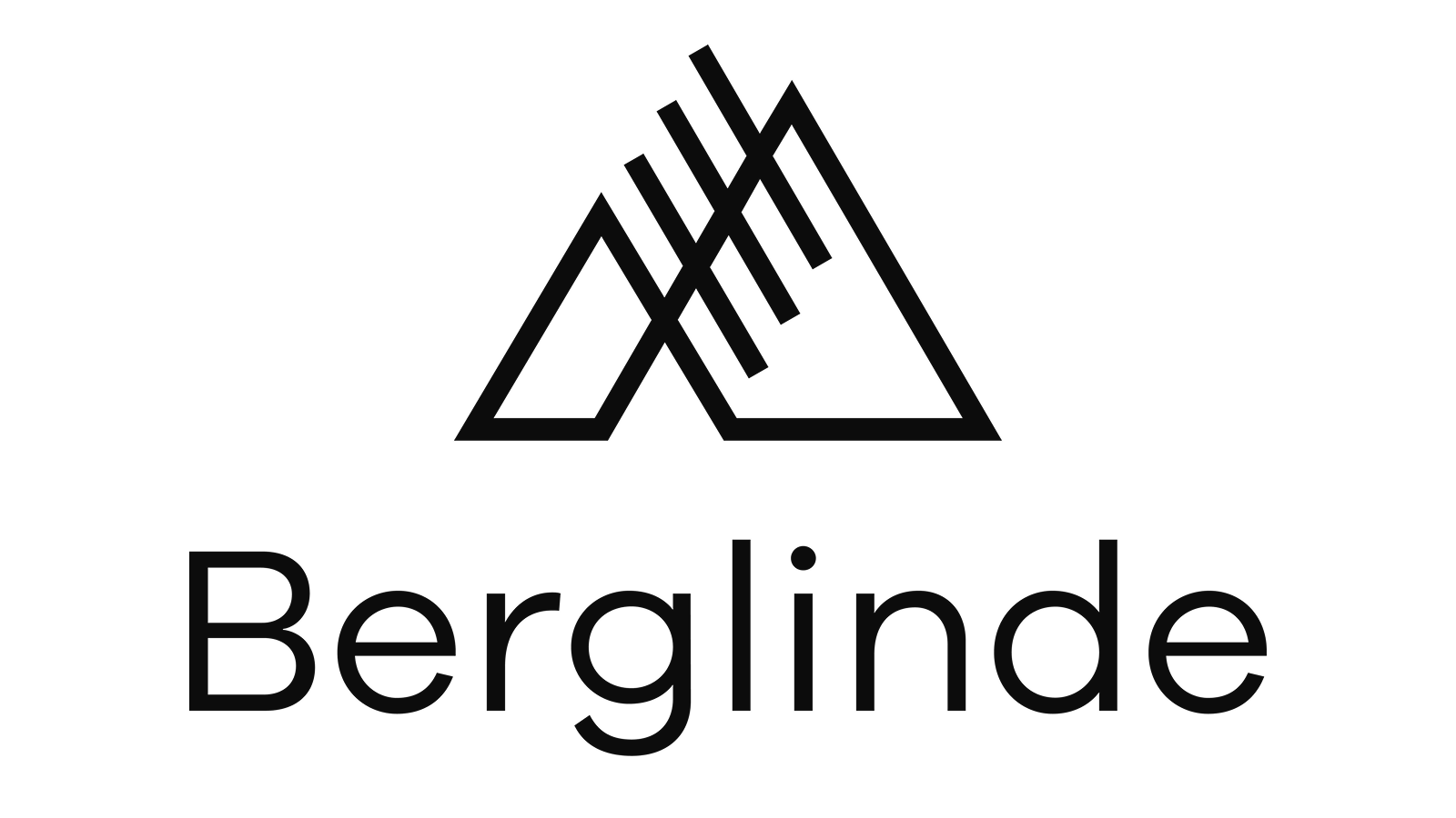 logo partner